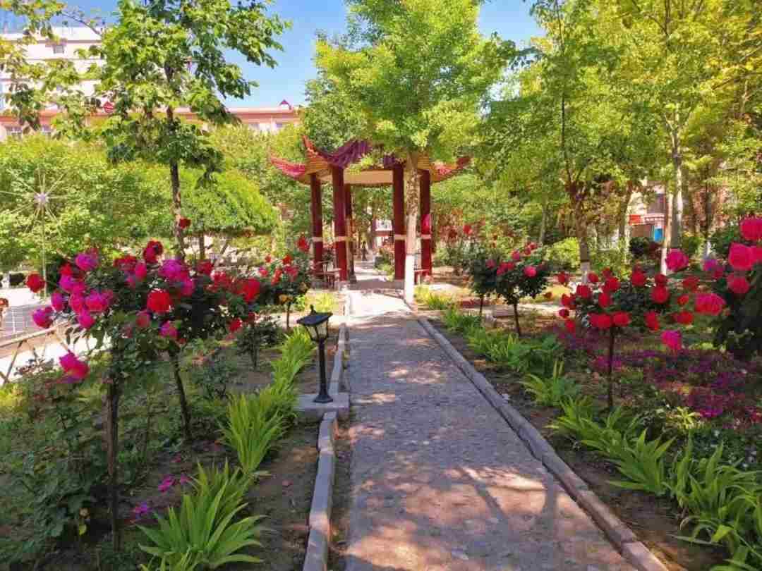 谈一别奋斗路 聚四载同窗情  ——Beat365中文官方网站2022届毕业 生欢送会