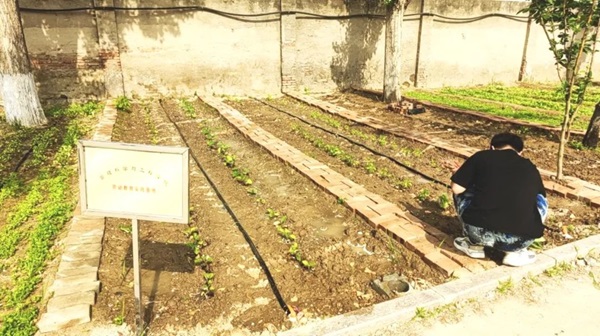 Beat365中文官方网站||管理学院||以劳育人树新风 筑梦青春共成长