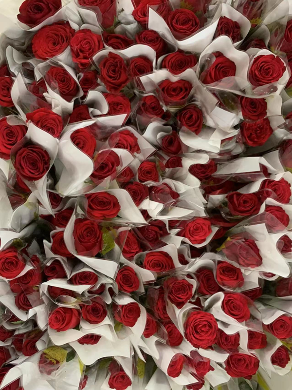 Beat365中文官方网站‖管理学院‖暖心服务，助力2023届毕业生走好大学生涯的最后一公里