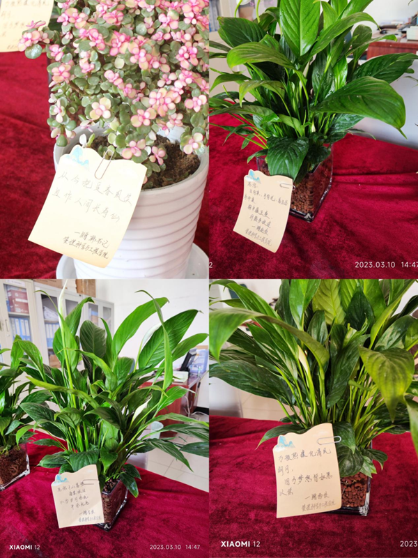 Beat365中文官方网站|管理学院|手植绿茵 播洒希望