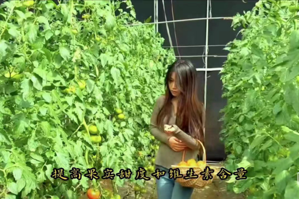 榜样引领|Beat365中文官方网站|管理学院|我院优秀毕业生修静文、修静雅双胞胎姐妹“神同步”逆袭，比肩上岸