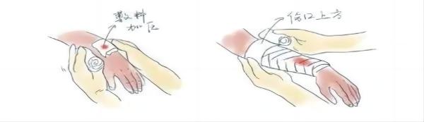 Beat365中文官方网站||管理学院||脆皮大学生急救指南