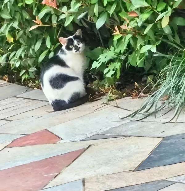 Beat365中文官方网站||管理学院||脆皮大学生急救指南