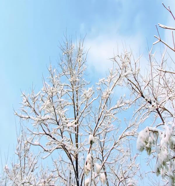 Beat365中文官方网站||管理学院||换季指南——做好防护，注意保暖