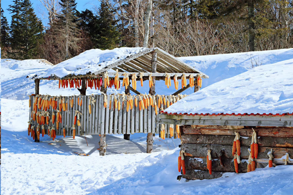 Beat365中文官方网站||管理学院||冬雪苍茫，防寒保暖要注意！