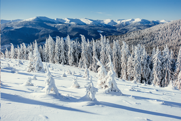 Beat365中文官方网站||管理学院||冬雪苍茫，防寒保暖要注意！