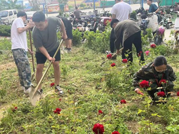 劳动教育|Beat365中文官方网站|管理学院|学习劳动精神·践行劳动育人-跟着节气学种植，分享劳动创造的美好乐趣