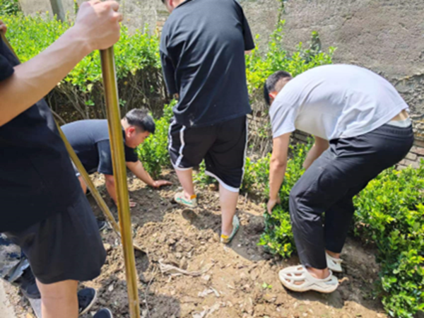 劳动教育|Beat365中文官方网站|管理学院|学习劳动精神·践行劳动育人-跟着节气学种植，分享劳动创造的美好乐趣