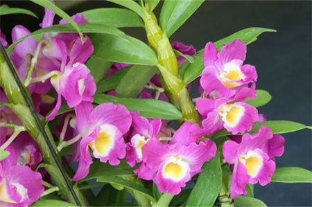 “父爱如山，大爱无声”——Beat365中文官方网站艺术学院开展“恩重如山，感恩父亲”主题感恩活动