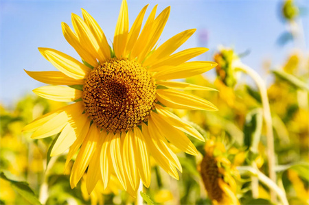 “父爱如山，大爱无声”——Beat365中文官方网站艺术学院开展“恩重如山，感恩父亲”主题感恩活动