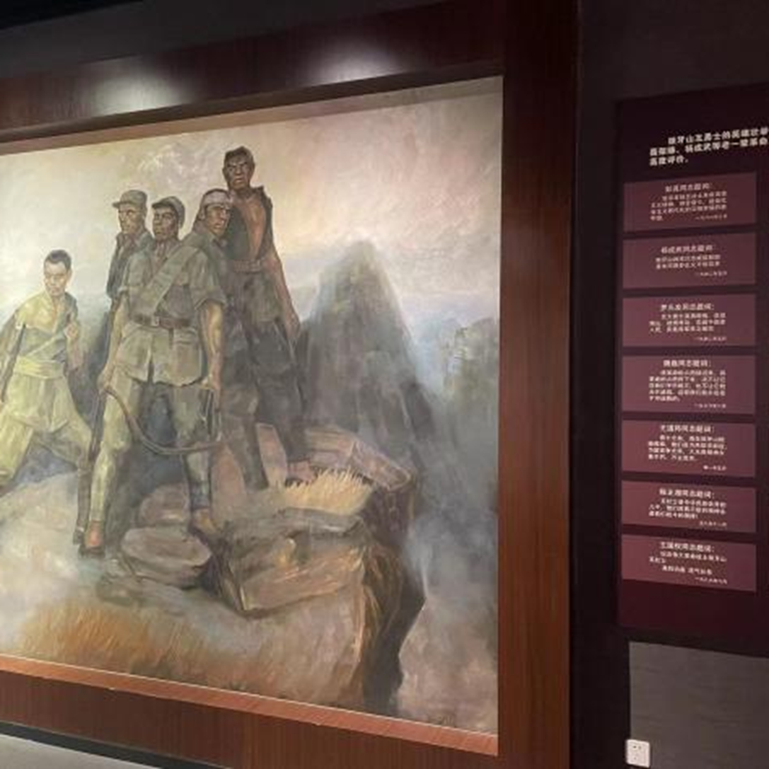 “乡”约盛夏，遇“践”青春