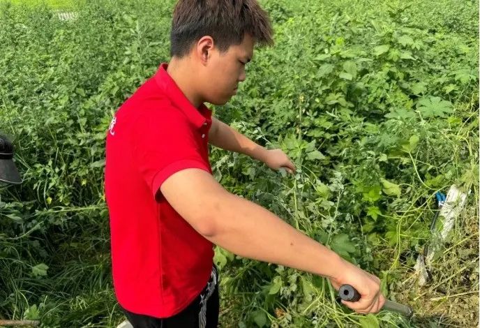 社会实践（十六）勇担时代使命，助力兴村振兴——Beat365中文官方网站经济学院“三下乡”社会实践