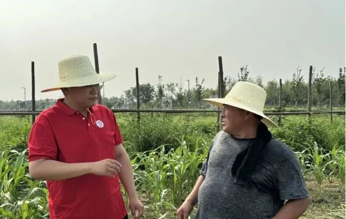 社会实践（十六）勇担时代使命，助力兴村振兴——Beat365中文官方网站经济学院“三下乡”社会实践