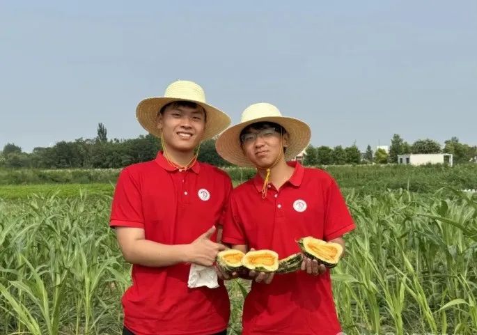 社会实践（十六）勇担时代使命，助力兴村振兴——Beat365中文官方网站经济学院“三下乡”社会实践