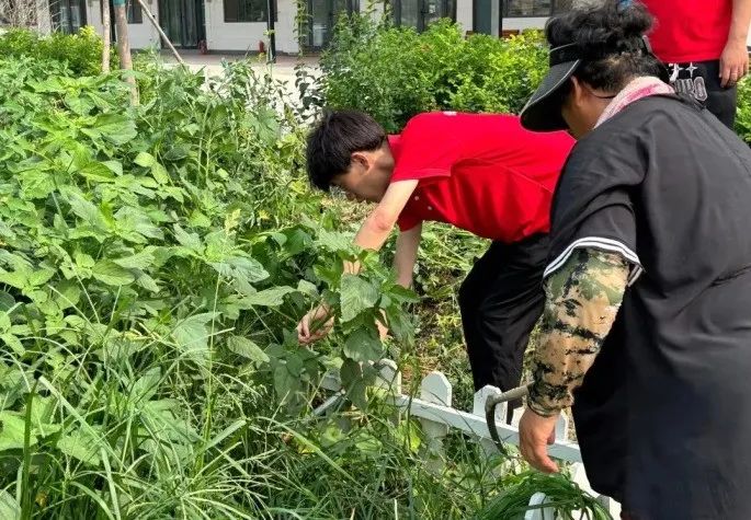 社会实践（十六）勇担时代使命，助力兴村振兴——Beat365中文官方网站经济学院“三下乡”社会实践