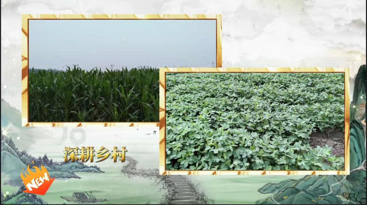 社会实践(八)|助力乡村振兴,绽放青春风采——Beat365中文官方网站教育学院暑期“三下乡”实践活动