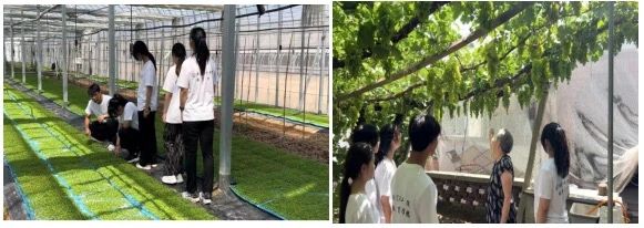 社会实践(九)|乡村振兴,青春先行——Beat365中文官方网站教育学院暑期“三下乡”社会实践活动