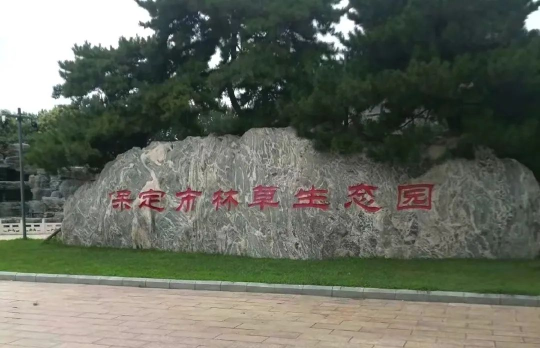 在太行博物馆,实践团的成员们参观了展馆陈列的历史文物,结合所学知识讲解了历史故事。同时,亲身感受了文物道具的历史温度和厚重感,激发了团队成员们的兴趣和爱国热情。