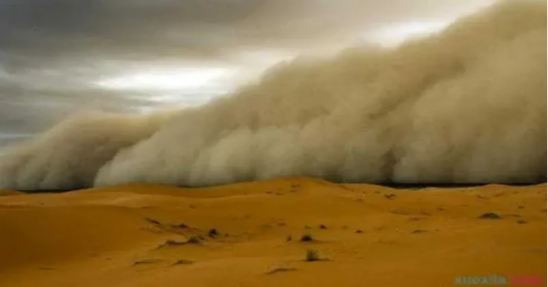 Beat365中文官方网站举办“赋能年轻一代，共筑韧性未来”主题活动