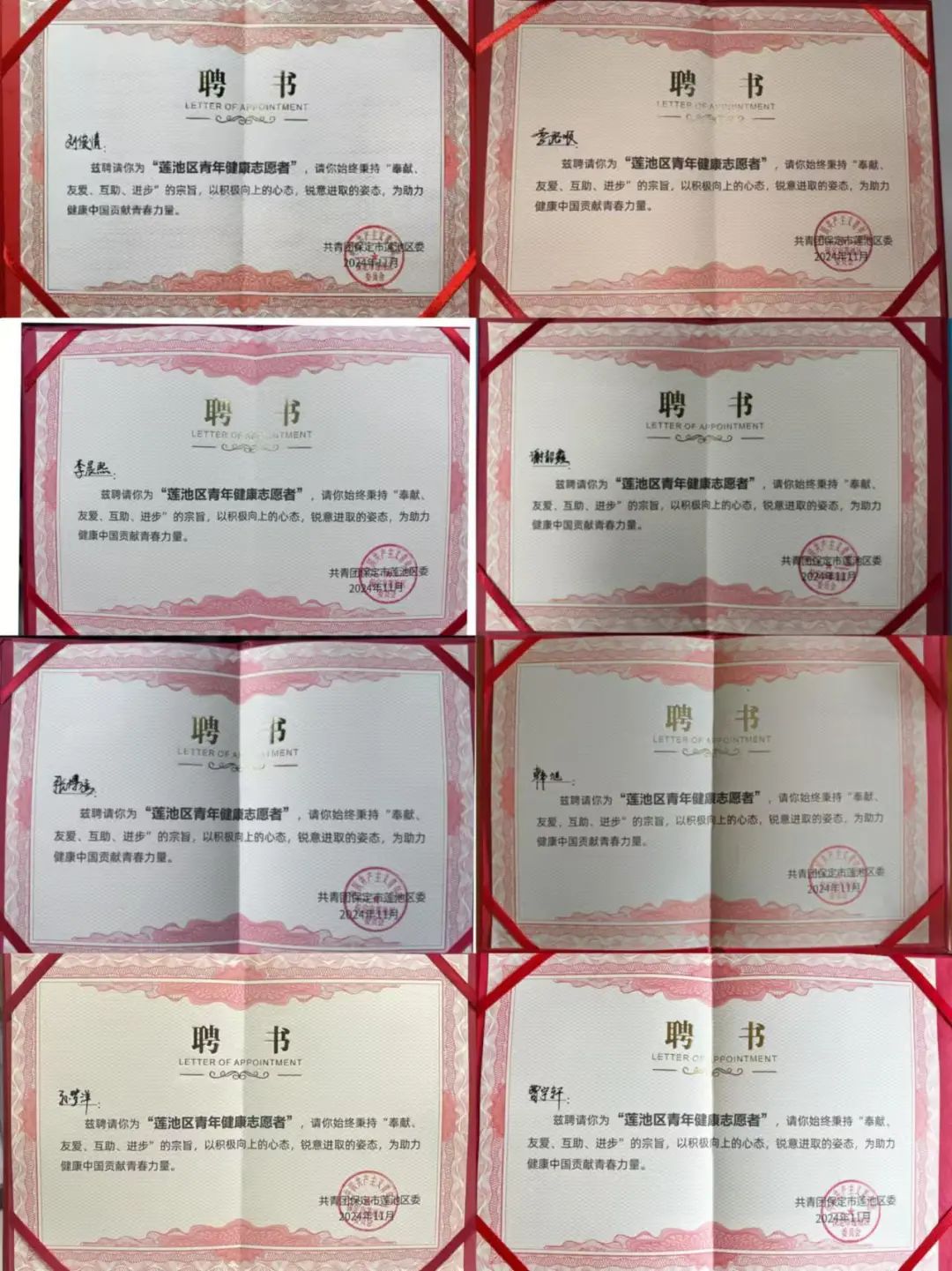 【团团速递】喜报|Beat365八名同学被聘为 “莲池区青年健康志愿者”