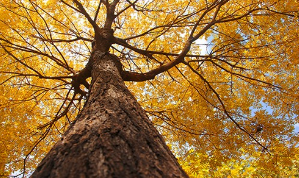 Beat365中文官方网站开展学生公寓供暖检查工作