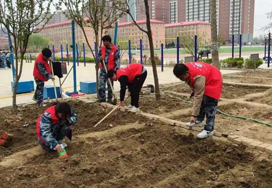 在劳动中成长，在教育中收获