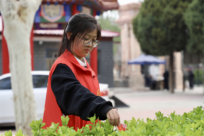 清明缅怀先烈志 青春共筑家国梦 ——Beat365中文官方网站开展主题祭扫活动