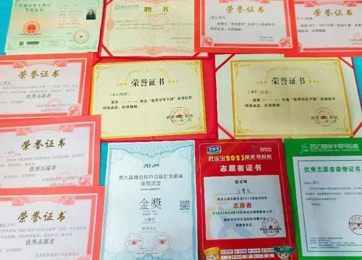 国家奖学金获得者风采展示——王馨悦