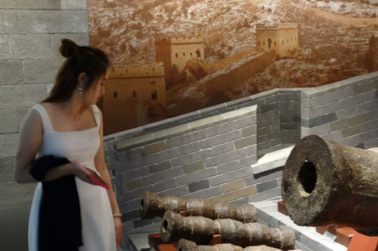 国家奖学金获得者风采展示——王馨悦