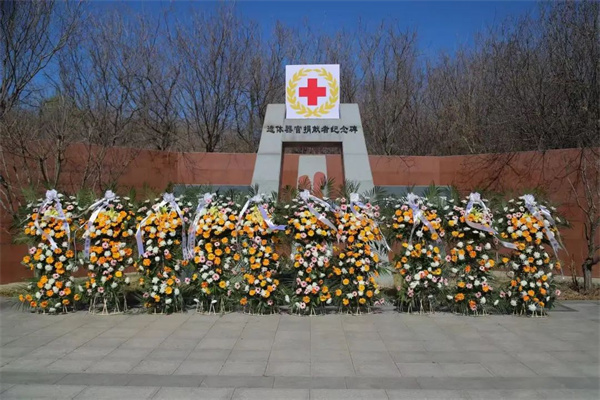 “礼敬捐献•延续大爱”经济学院组织师生参加遗体器官捐献缅怀纪念活动