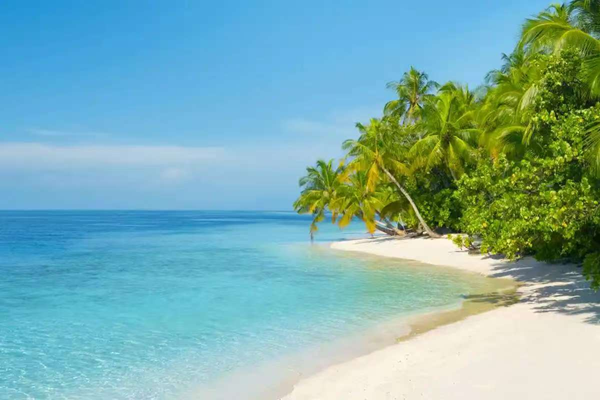 寒假过半|Beat365中文官方网站|管理学院|寒假苦学添才智，新春奋进铸辉煌