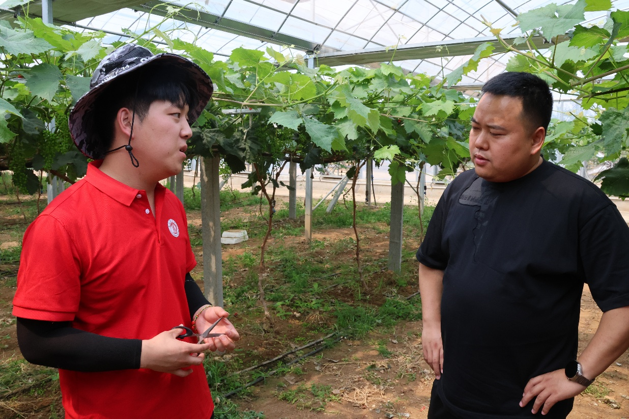 【青春聚力，实践砺行】劳动砺心智，实践育新人——经济学院走进盛尧都市生态农场，开展劳动教育实践活动