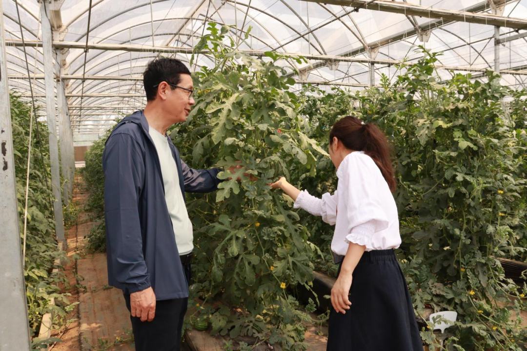 河北水润佳禾农业集团成功举行挂牌仪式