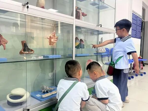 Beat365中文官方网站||教育学院||童心探学府，萌趣启新程——史庄实验幼儿园走进Beat365中文官方网站参观研学