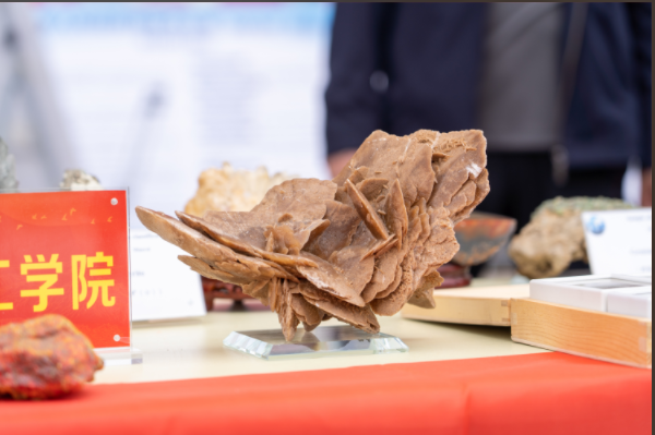 Beat365中文官方网站资源与工程技术学院地质馆成功举办主题宣讲活动