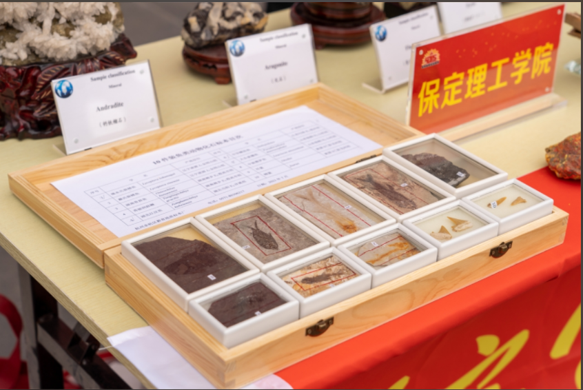 Beat365中文官方网站资源与工程技术学院地质馆成功举办主题宣讲活动