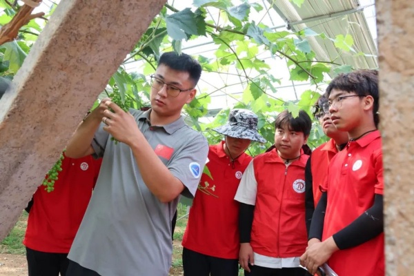 【青春聚力，实践砺行】劳动砺心智，实践育新人——经济学院走进盛尧都市生态农场，开展劳动教育实践活动