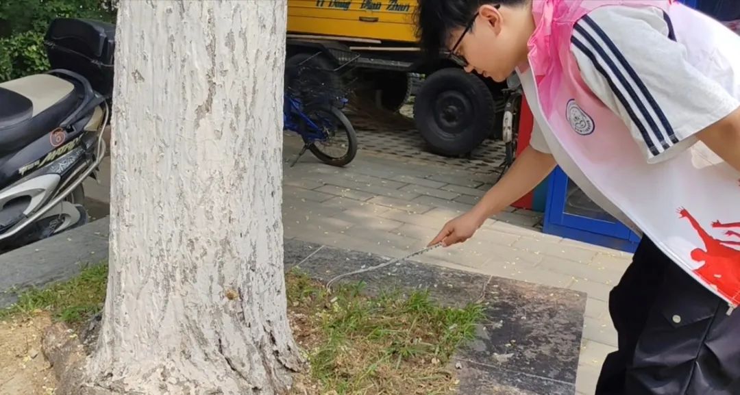 暑期社会活动实践（一）：躬身实践护水利，青春志愿绽芳华