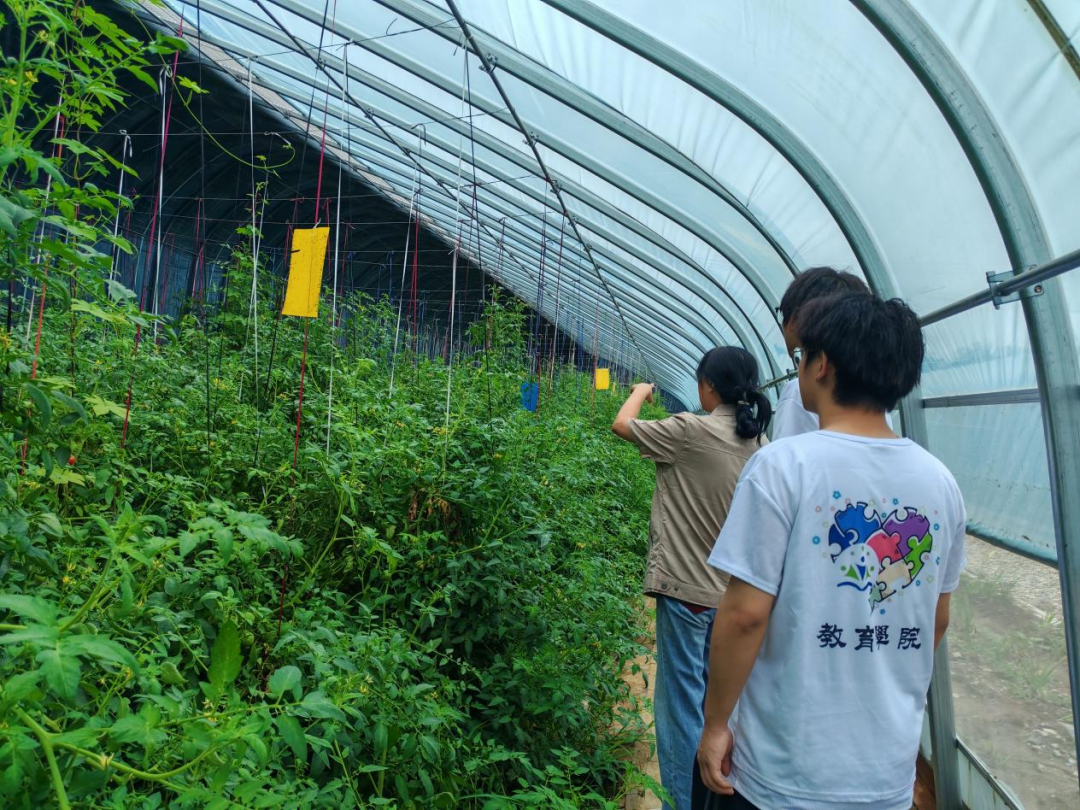 暑期社会活动实践（二）：保定市满城漕河沐阳农业生态园授牌活动