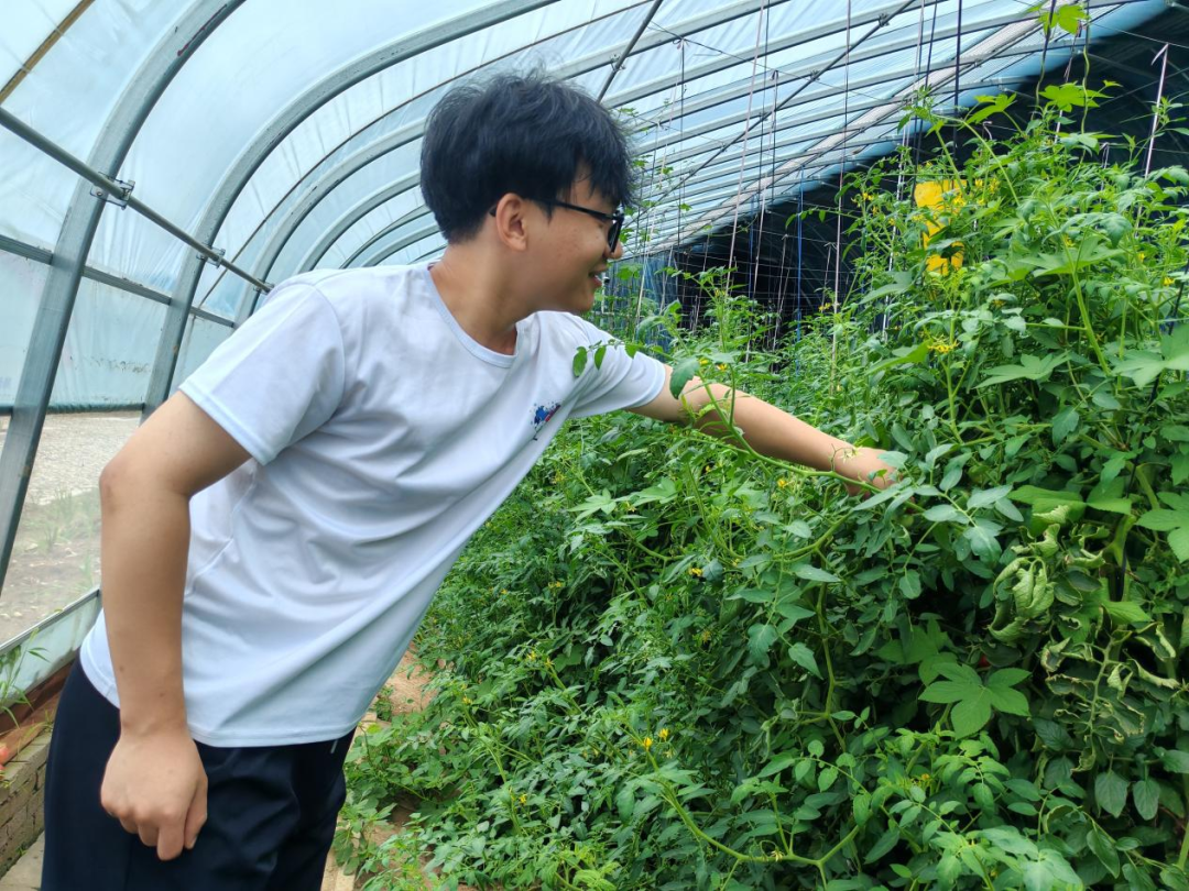 暑期社会活动实践（二）：保定市满城漕河沐阳农业生态园授牌活动