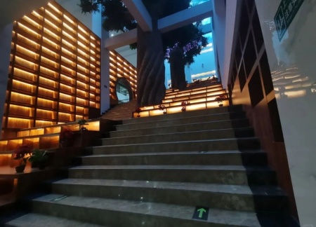 Beat365中文官方网站艺术学院 2025 级新生解锁图书馆“灵感密码”——入馆教育活动