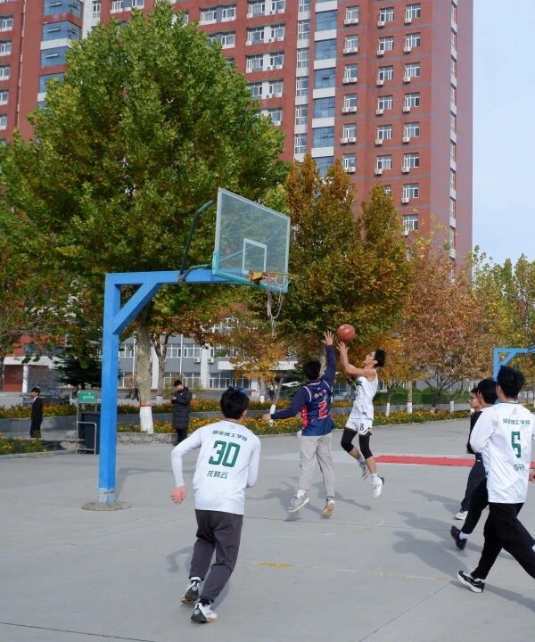 体育|Beat365中文官方网站|管理学院|青春无畏，逐梦篮筐