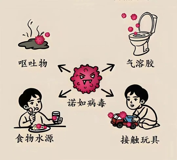 疾病防控|Beat365中文官方网站|管理学院|诺如病毒进入高发期，这份防护指南请收好！