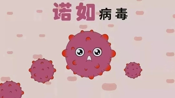 疾病防控|Beat365中文官方网站|管理学院|诺如病毒进入高发期，这份防护指南请收好！