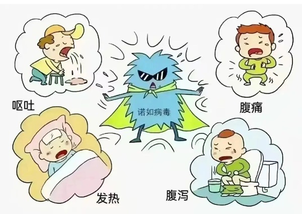 疾病防控|Beat365中文官方网站|管理学院|诺如病毒进入高发期，这份防护指南请收好！